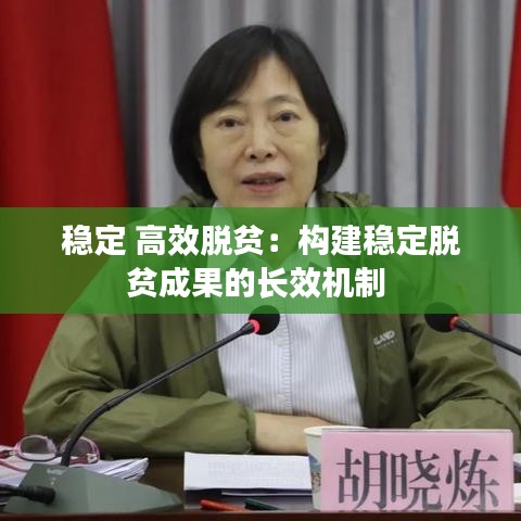 稳定 高效脱贫：构建稳定脱贫成果的长效机制 