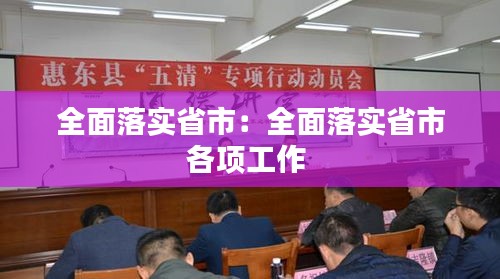 全面落实省市：全面落实省市各项工作 