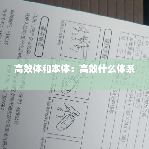 高效体和本体：高效什么体系 