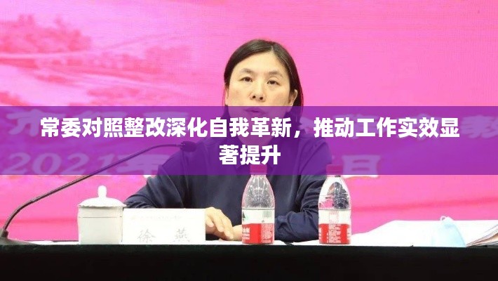 常委对照整改深化自我革新，推动工作实效显著提升