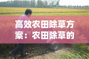 高效农田除草方案：农田除草的主要目的 
