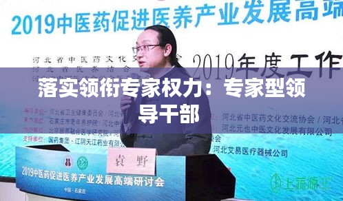 落实领衔专家权力：专家型领导干部 