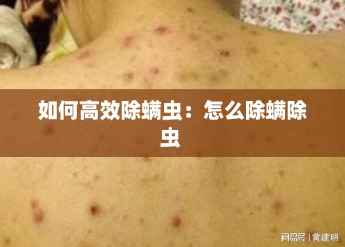 如何高效除螨虫：怎么除螨除虫 