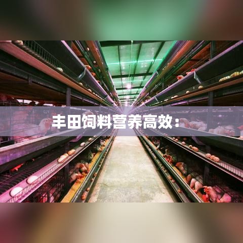 丰田饲料营养高效： 