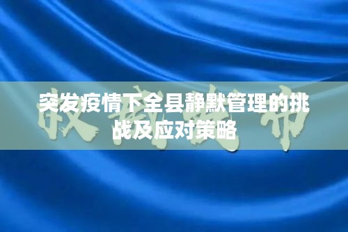 突发疫情下全县静默管理的挑战及应对策略