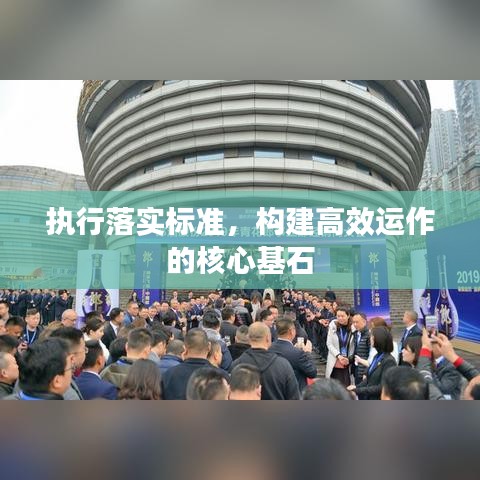 执行落实标准，构建高效运作的核心基石