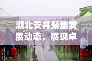 湖北安井聚焦发展动态，展现卓越企业风采，新闻头条抢先看