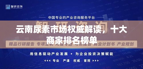 达官显贵 第2页