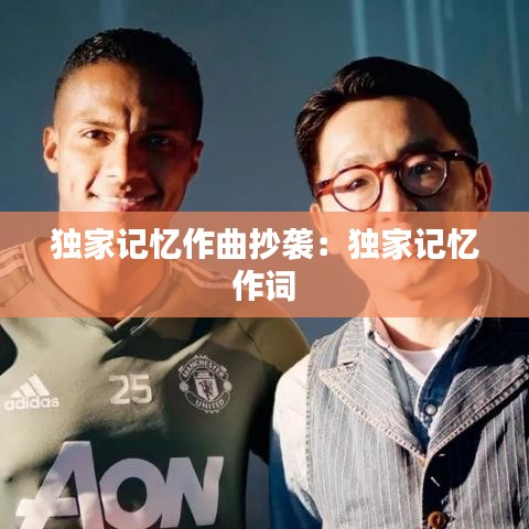 独家记忆作曲抄袭：独家记忆 作词 