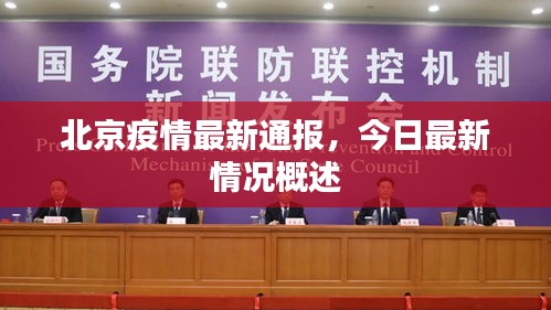 北京疫情最新通报，今日最新情况概述