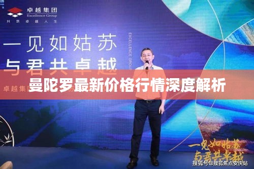 曼陀罗最新价格行情深度解析
