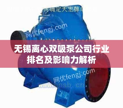 无锡离心双吸泵公司行业排名及影响力解析