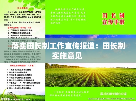 眉清目秀 第2页