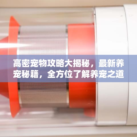 寒蝉僵鸟 第2页