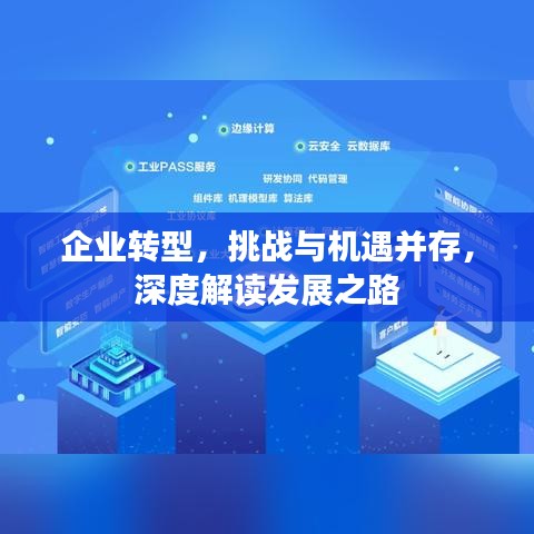 企业转型，挑战与机遇并存，深度解读发展之路