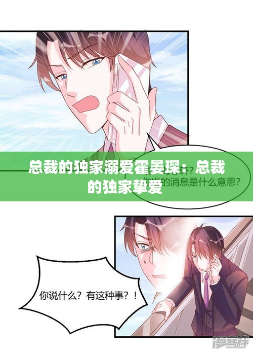 总裁的独家溺爱霍晏琛：总裁的独家挚爱 