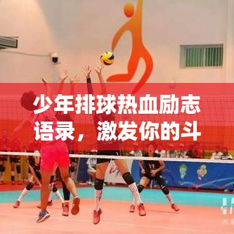 少年排球热血励志语录，激发你的斗志时刻！