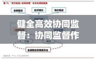 健全高效协同监督：协同监督作用 