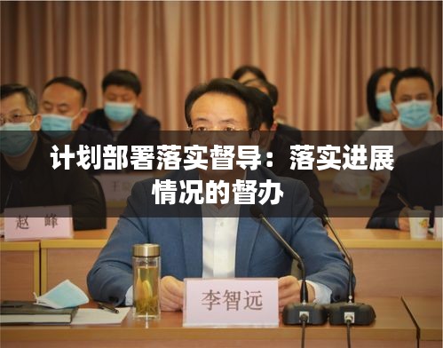 计划部署落实督导：落实进展情况的督办 