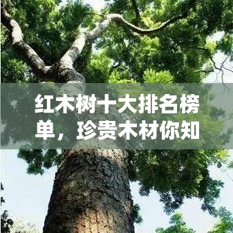 钝学累功 第2页