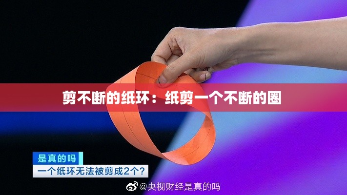 洵属可贵 第2页