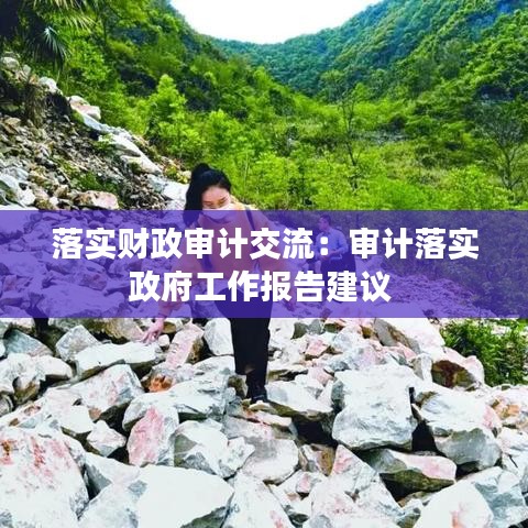 落实财政审计交流：审计落实政府工作报告建议 