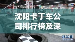 沈阳卡丁车公司排行榜及深度市场分析
