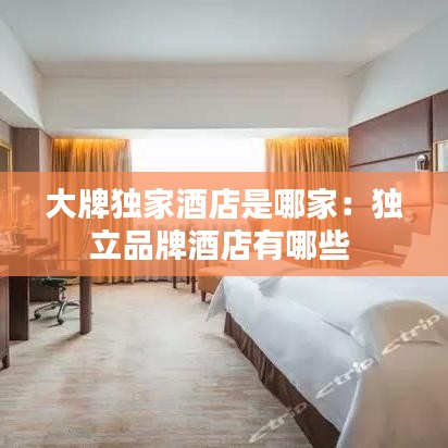 大牌独家酒店是哪家：独立品牌酒店有哪些 