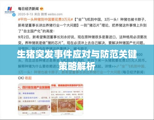 生猪突发事件应对与防范关键策略解析