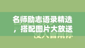 名师励志语录精选，搭配图片大放送！