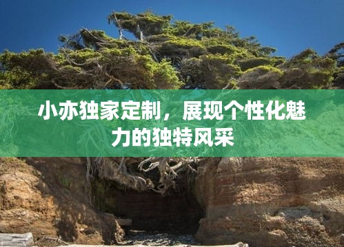 小亦独家定制，展现个性化魅力的独特风采