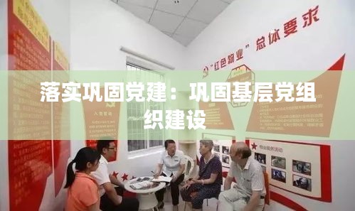 落实巩固党建：巩固基层党组织建设 