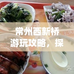 常州西新桥游玩攻略，探秘历史古韵与美食之旅