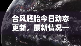 台风胚胎今日动态更新，最新情况一览