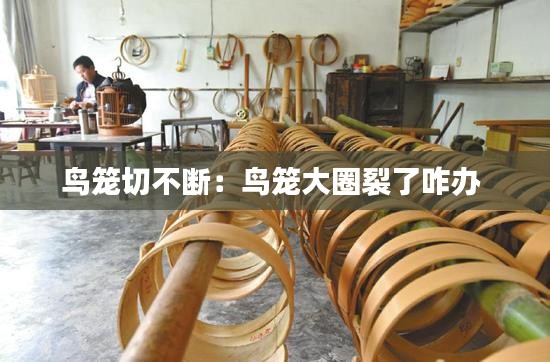 鸟笼切不断：鸟笼大圈裂了咋办 