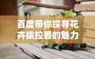 百度带你探寻花卉拨拉香的魅力