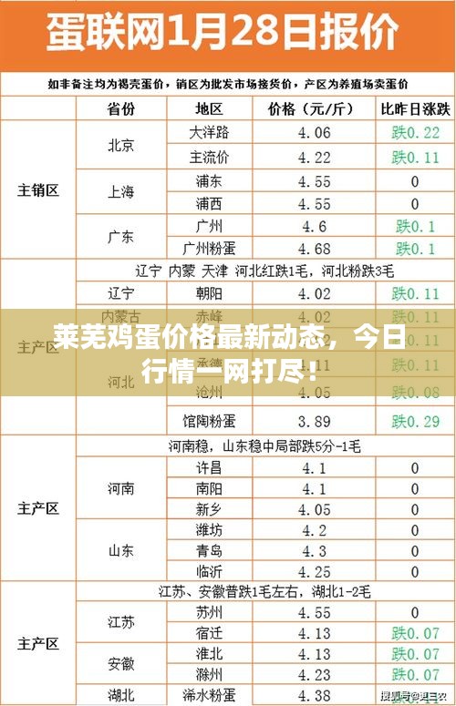 莱芜鸡蛋价格最新动态，今日行情一网打尽！