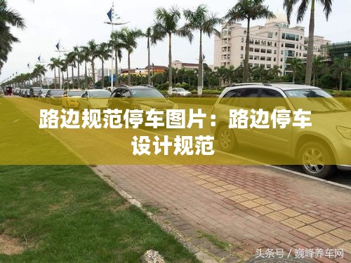 路边规范停车图片：路边停车设计规范 