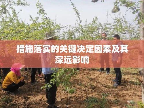 措施落实的关键决定因素及其深远影响