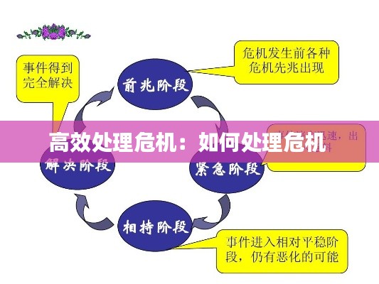高效处理危机：如何处理危机 