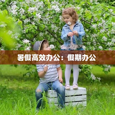 暑假高效办公：假期办公 