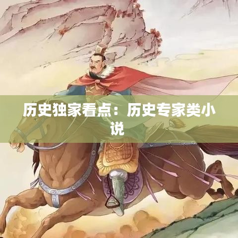 历史独家看点：历史专家类小说 