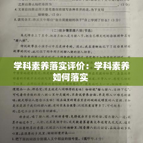 学科素养落实评价：学科素养如何落实 