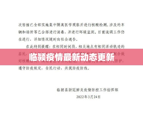 临颍疫情最新动态更新