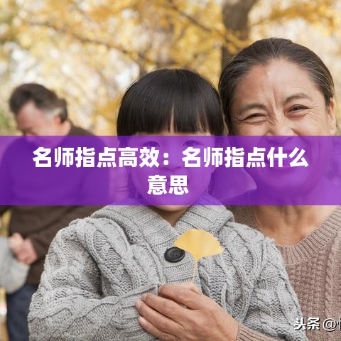 名师指点高效：名师指点什么意思 