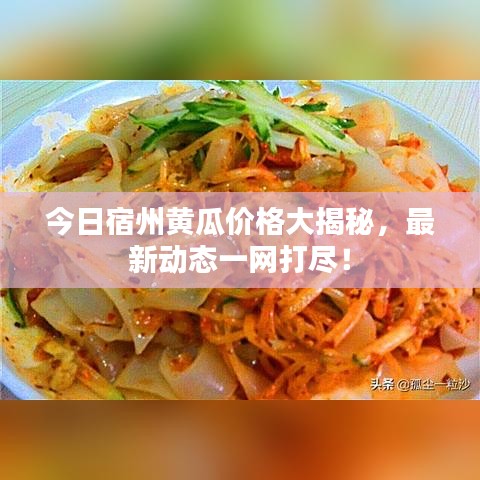 今日宿州黄瓜价格大揭秘，最新动态一网打尽！