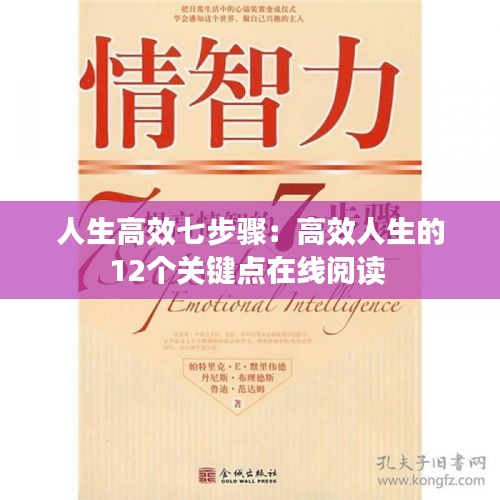 人生高效七步骤：高效人生的12个关键点在线阅读 