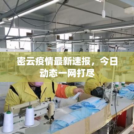 密云疫情最新速报，今日动态一网打尽