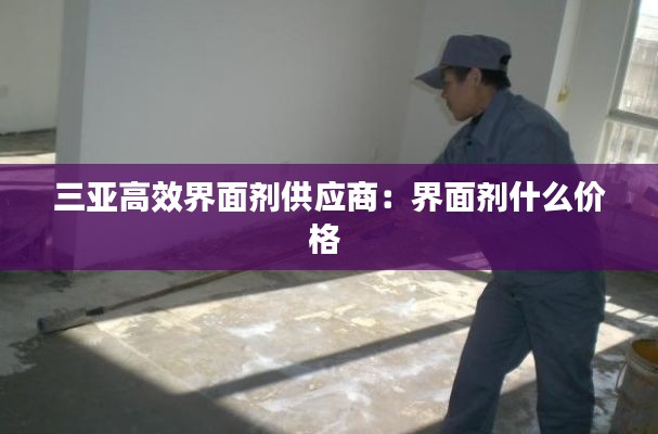 三亚高效界面剂供应商：界面剂什么价格 