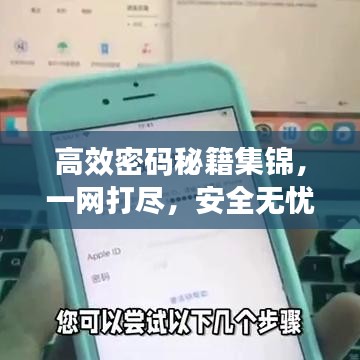高效密码秘籍集锦，一网打尽，安全无忧